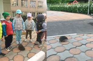 "Встреча с ёжиком" "Встреча с ёжиком".